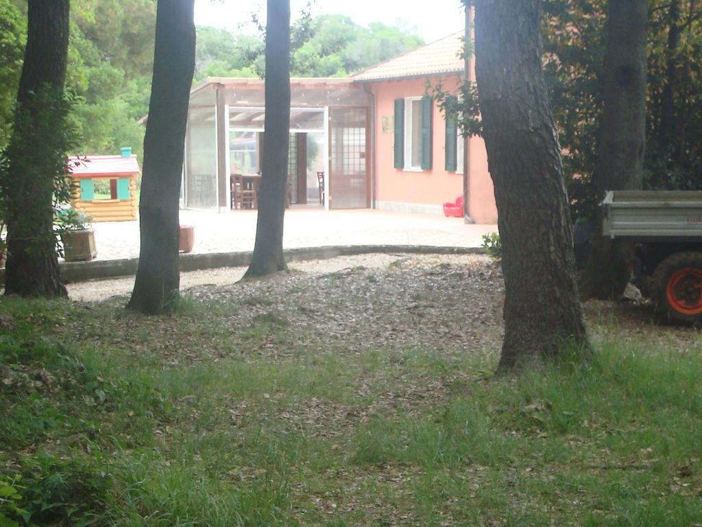 Agriturismo "La Rosa Canina" Bed and Breakfast Lerici Eksteriør billede